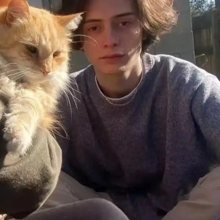 6686体育金牌作者专属的成见