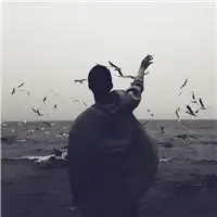 6686体育海外作者Sadie