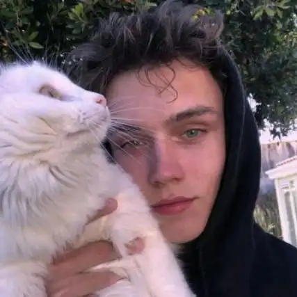 6686体育首席作者Alfie