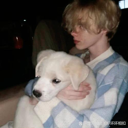 6686体育首席作者Sage