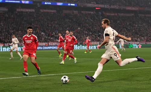 บาเยิร์น มิวนิค vs เบนฟิก้า